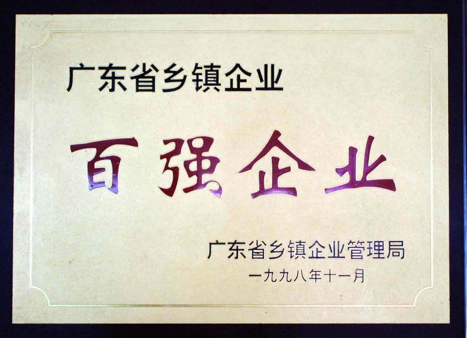 廣東省鄉(xiāng)鎮(zhèn)企業(yè)百強企業(yè)